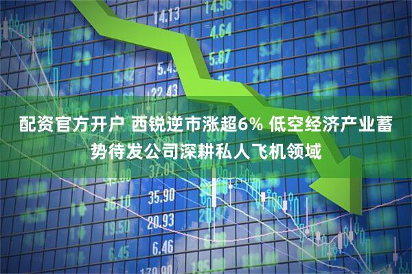 配资官方开户 西锐逆市涨超6% 低空经济产业蓄势待发公司深耕私人飞机领域